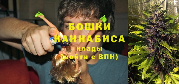 МДПВ Алексеевка