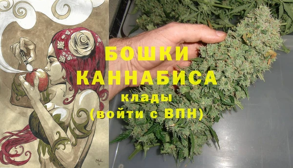 МДПВ Алексеевка